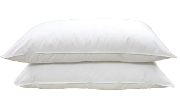 Simply Sleep - Ball Fibre Pillow Inner - Regular Fill