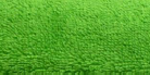 Plush 450GSM Towel